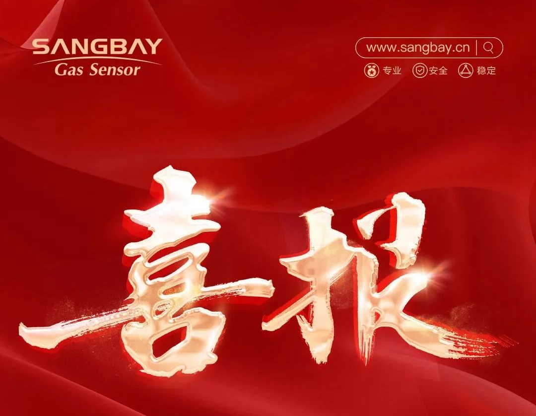 喜報｜上海鬆柏傳感獲評上海市專精特新中小企業，助力高質量發展！