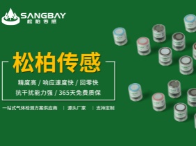 電（diàn）化學氣體傳感器儲存秘籍