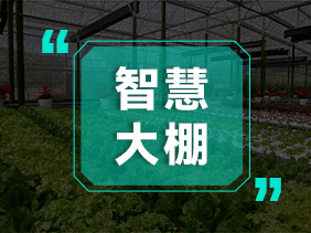 氣體（tǐ）傳（chuán）感器助力智慧大棚 精準（zhǔn）監測 高效種植
