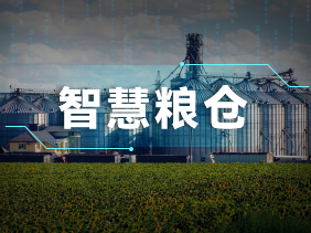 實時監測+智能預警！鬆柏傳感氣體傳感器（qì）助力綠色儲糧